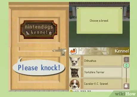 Играть в Nintendogs Шаг 1 Играть в Nintendogs Шаг 1