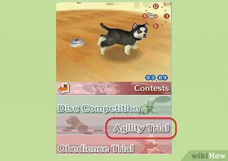 Играть в Nintendogs Step 11 Играть в Nintendogs Step 11