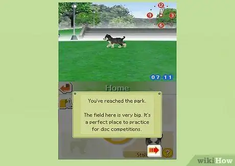 Играть в Nintendogs Step 12 Играть в Nintendogs Step 12
