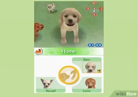 Играть в Nintendogs Step 2 Играть в Nintendogs Step 2