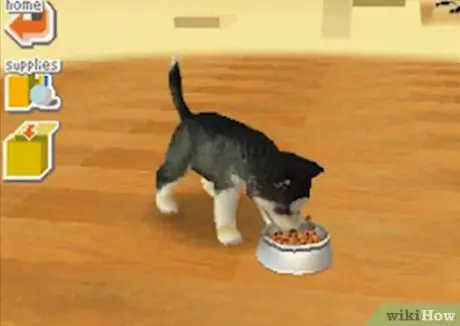 Играть в Nintendogs Step 3 Играть в Nintendogs Step 3