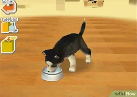 Играть в Nintendogs Step 4 Играть в Nintendogs Step 4