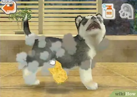 Играть в Nintendogs Step 5 Играть в Nintendogs Step 5