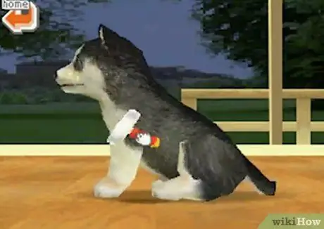 Играть в Nintendogs Step 6 Играть в Nintendogs Step 6