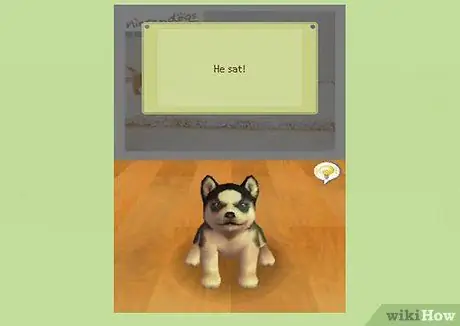 Играть в Nintendogs Step 7 Играть в Nintendogs Step 7