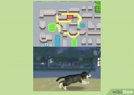 Играть в Nintendogs Step 9 Играть в Nintendogs Step 9