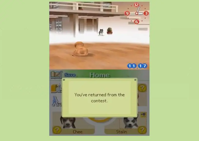 Как играть в Nintendogs (с изображениями)