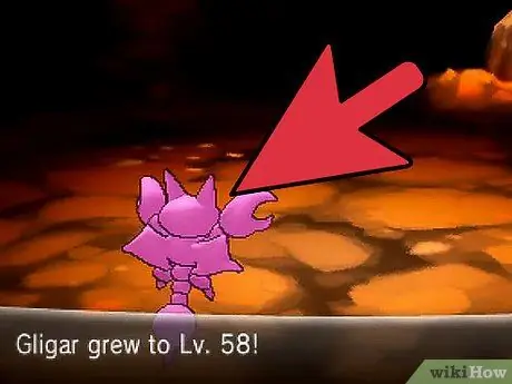 4795634 3 4795634 3