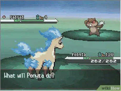 Evolve Ponyta, шаг 1 Evolve Ponyta, шаг 1