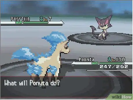 Evolve Ponyta, шаг 2 Evolve Ponyta, шаг 2