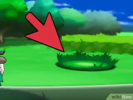 Получите Shedinja, шаг 2 Получите Shedinja, шаг 2
