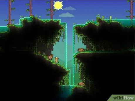 Победите Стену плоти в Terraria Step 5 Победите Стену плоти в Terraria Step 5