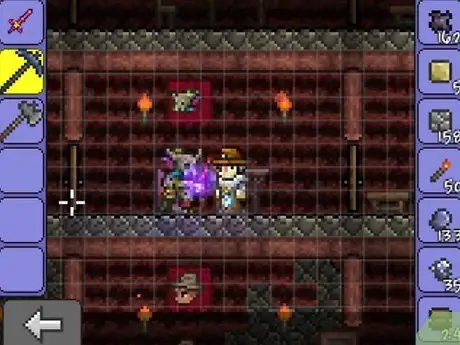 Получите предустановленных NPC в Terraria, шаг 14 Получите предустановленных NPC в Terraria, шаг 14