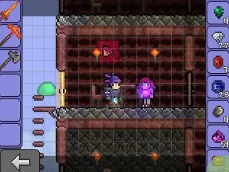 Получите неигровых персонажей до Hardmode в Terraria Step 17 Получите неигровых персонажей до Hardmode в Terraria Step 17