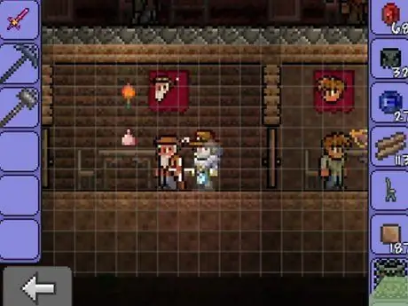 Получите неигровых персонажей до Hardmode в Terraria Step 3 Получите неигровых персонажей до Hardmode в Terraria Step 3