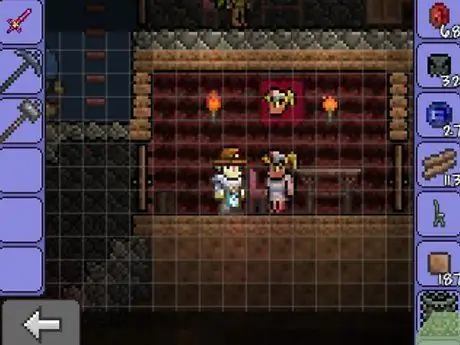 Получите неигровых персонажей до Hardmode в Terraria Step 4 Получите неигровых персонажей до Hardmode в Terraria Step 4