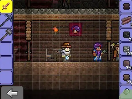 Получите предустановленных NPC в Terraria Step 6 Получите предустановленных NPC в Terraria Step 6
