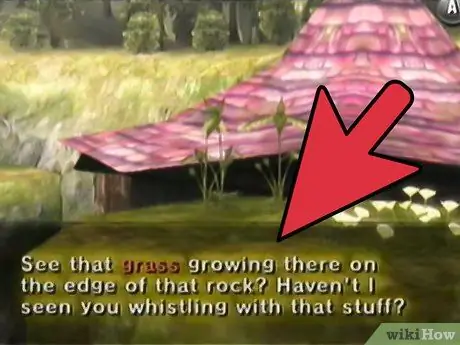 Получите удочку в Twilight Princess, шаг 2 Получите удочку в Twilight Princess, шаг 2