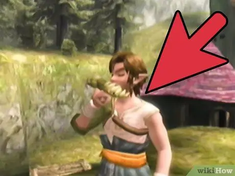 Получите удочку в Twilight Princess, шаг 3 Получите удочку в Twilight Princess, шаг 3