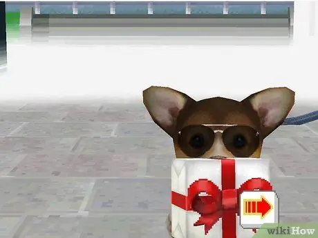 Зарабатывайте деньги и очки тренера в Nintendogs Шаг 10 Зарабатывайте деньги и очки тренера в Nintendogs Шаг 10
