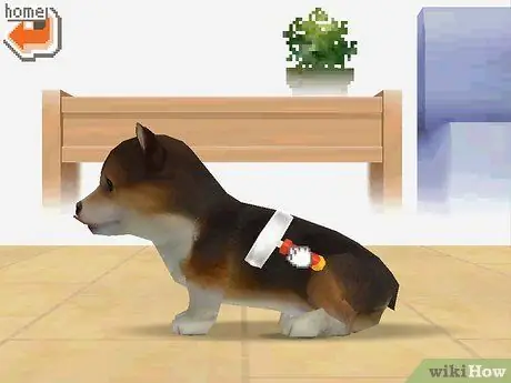Зарабатывайте деньги и очки тренера в Nintendogs, шаг 12 Зарабатывайте деньги и очки тренера в Nintendogs, шаг 12