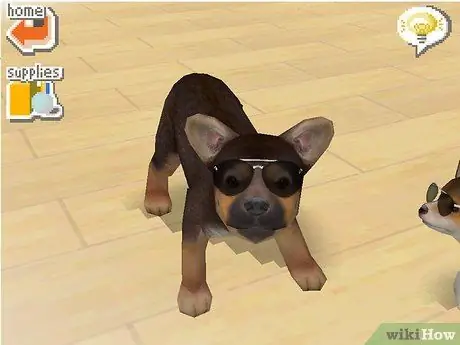 Зарабатывайте деньги и очки тренера в Nintendogs Шаг 13 Зарабатывайте деньги и очки тренера в Nintendogs Шаг 13