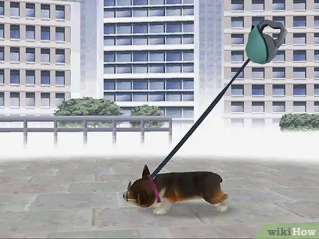 Зарабатывайте деньги и очки тренера в Nintendogs, шаг 8 Зарабатывайте деньги и очки тренера в Nintendogs, шаг 8