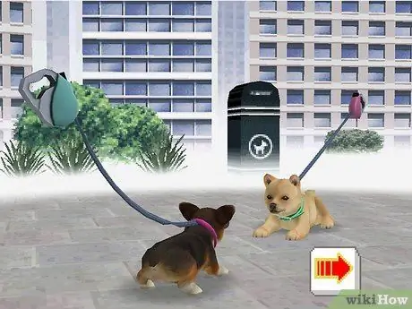 Зарабатывайте деньги и очки тренера в Nintendogs Step 9 Зарабатывайте деньги и очки тренера в Nintendogs Step 9