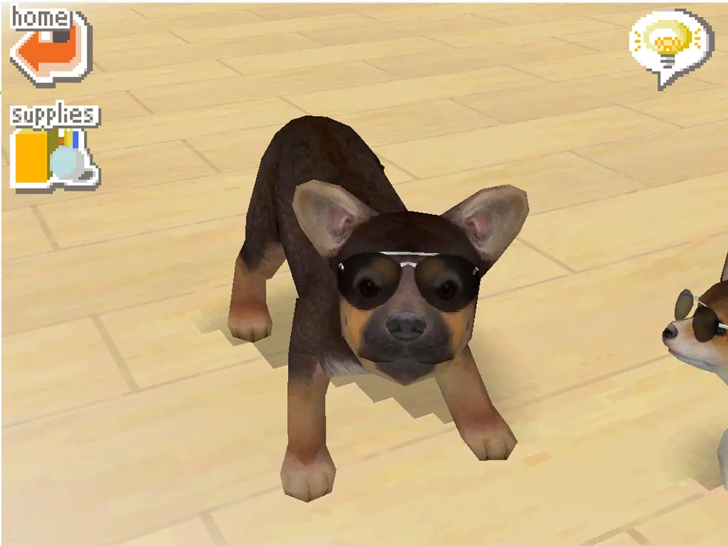 Как зарабатывать деньги и очки тренера в Nintendogs: 13 шагов