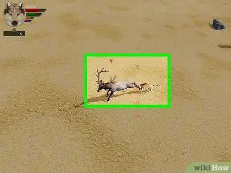 Найдите себе пару на WolfQuest Step 2 Найдите себе пару на WolfQuest Step 2