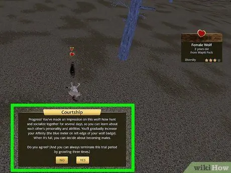 Найдите себе пару на WolfQuest Step 5 Найдите себе пару на WolfQuest Step 5