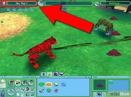 Сделайте идеальный зоопарк в Zoo Tycoon 2, шаг 4 Сделайте идеальный зоопарк в Zoo Tycoon 2, шаг 4