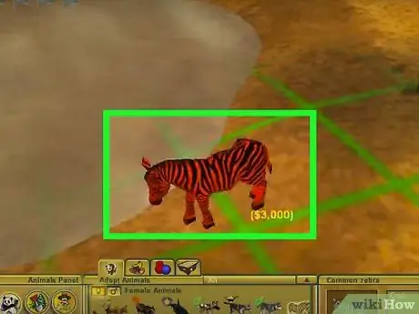 Сделайте хороший зоопарк в Zoo Tycoon, шаг 2 Сделайте хороший зоопарк в Zoo Tycoon, шаг 2