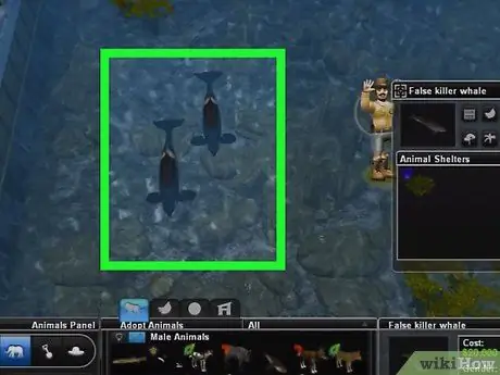 Сделайте хороший зоопарк в Zoo Tycoon, шаг 6 Сделайте хороший зоопарк в Zoo Tycoon, шаг 6