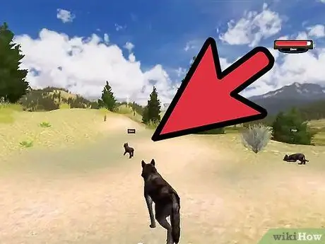 Позаботьтесь о щенках в WolfQuest Step 10 Позаботьтесь о щенках в WolfQuest Step 10