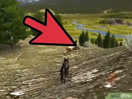 Позаботьтесь о щенках в WolfQuest Step 11 Позаботьтесь о щенках в WolfQuest Step 11
