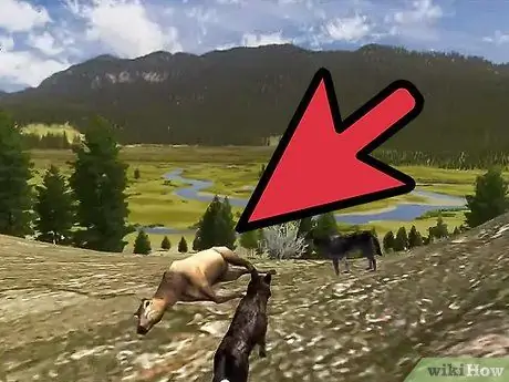 Позаботьтесь о щенках в WolfQuest Step 12 Позаботьтесь о щенках в WolfQuest Step 12