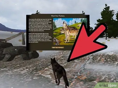 Позаботьтесь о щенках в WolfQuest Step 7 Позаботьтесь о щенках в WolfQuest Step 7