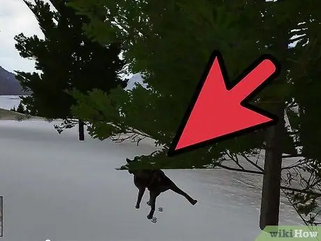 Позаботьтесь о щенках в WolfQuest Step 8 Позаботьтесь о щенках в WolfQuest Step 8