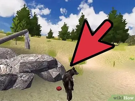 Позаботьтесь о щенках в WolfQuest Step 9 Позаботьтесь о щенках в WolfQuest Step 9