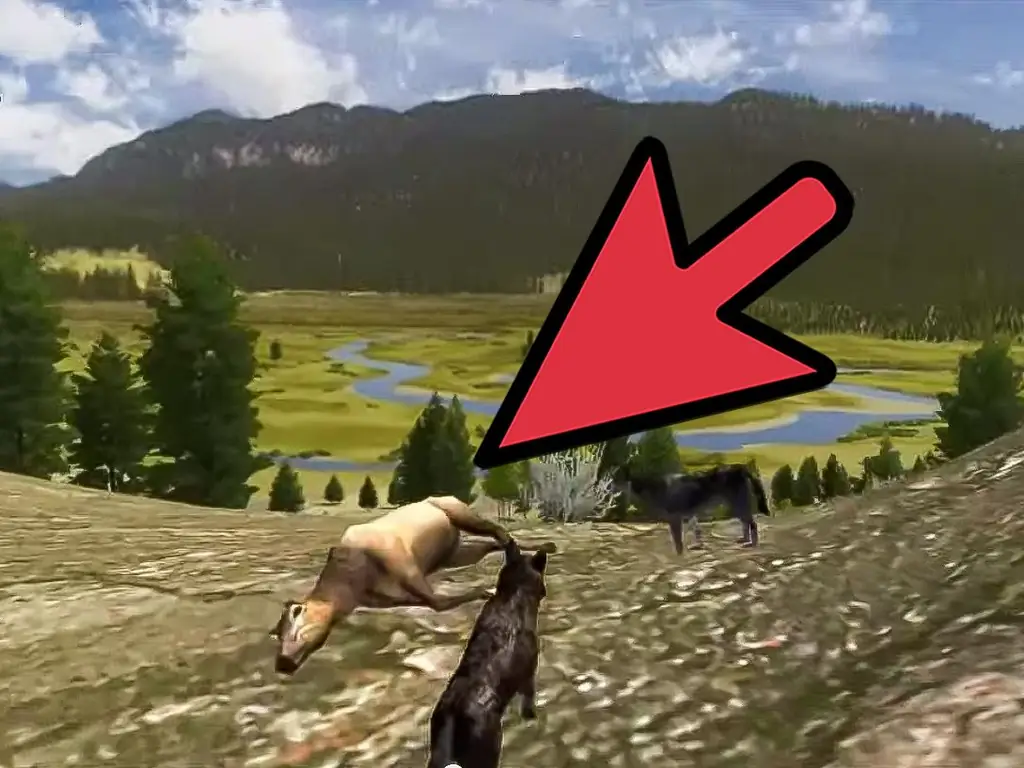 Как заботиться о щенках в WolfQuest: 12 шагов (с иллюстрациями)