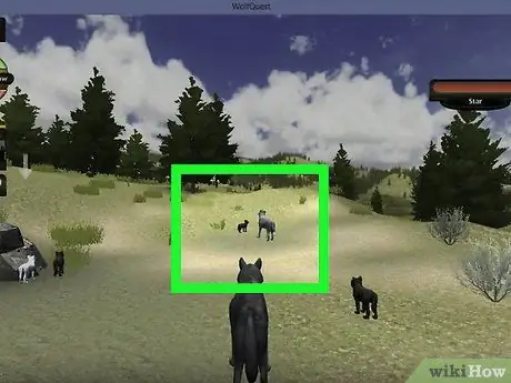 Выжить в Летнем логове на WolfQuest Step 2 Выжить в Летнем логове на WolfQuest Step 2