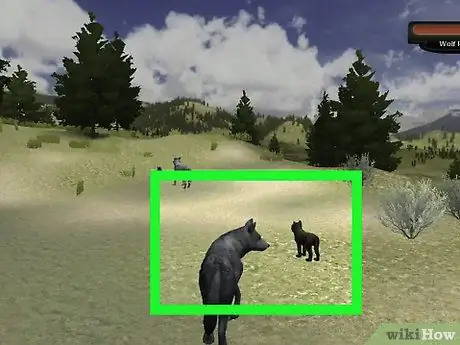 Выжить в Летнем логове на WolfQuest Step 3 Выжить в Летнем логове на WolfQuest Step 3