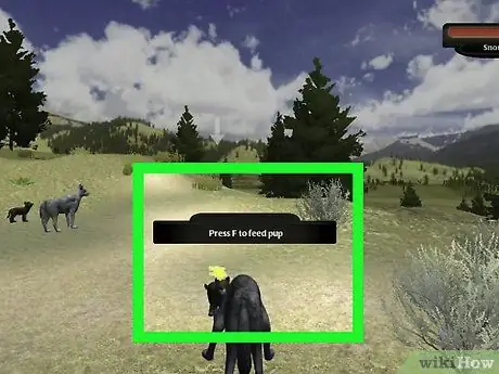 Выжить в Летнем логове на WolfQuest Step 4 Выжить в Летнем логове на WolfQuest Step 4