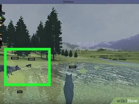 Выжить в Летнем логове на WolfQuest Step 6 Выжить в Летнем логове на WolfQuest Step 6