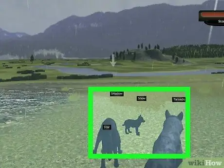 Выжить в Летнем логове на WolfQuest Step 7 Выжить в Летнем логове на WolfQuest Step 7