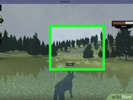Выжить в Летнем логове на WolfQuest Step 8 Выжить в Летнем логове на WolfQuest Step 8