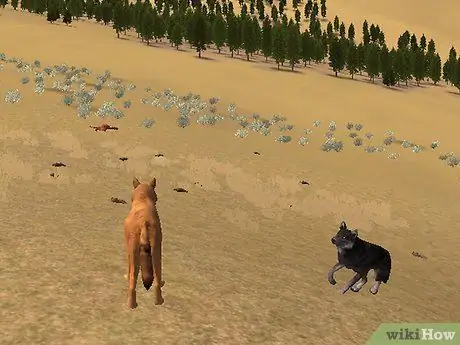 Сыграть в Wolf Quest Step 7 Сыграть в Wolf Quest Step 7