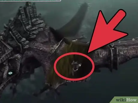 Найдите и победите пятого колосса в Shadow of the Colossus. Шаг 12 Найдите и победите пятого колосса в Shadow of the Colossus. Шаг 12