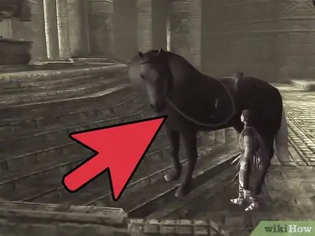 Найдите и победите 3-го колосса в Shadow of the Colossus. Шаг 1 Найдите и победите 3-го колосса в Shadow of the Colossus. Шаг 1